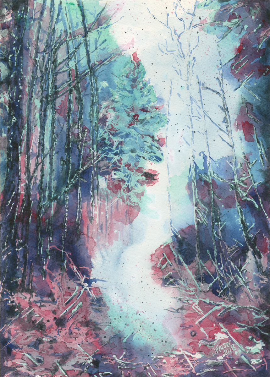 A Walk Around Chemainus Lake