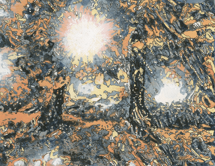 Maple Trees in the Fall